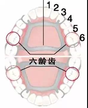 第三十个“爱牙日”即将到来，口腔专家有话说