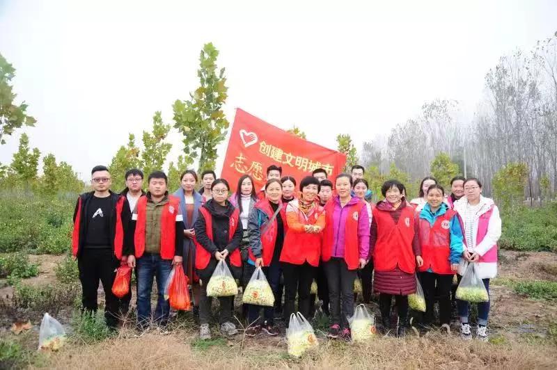 聊城市第四人民医院组织党员志愿者助农抢摘菊花