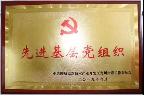 凝聚先锋作用助推医院发展——鲁西骨科医院党支部荣获“先进基层党组织”称号