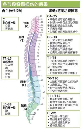 公益助残|脊髓损伤者的福音——聊城有了“希望之家”，免费提供生活重建康复训练服务！